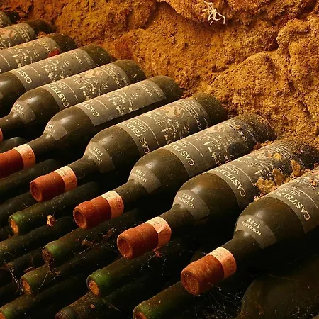 Castel Di Pugna Winery Landsted *