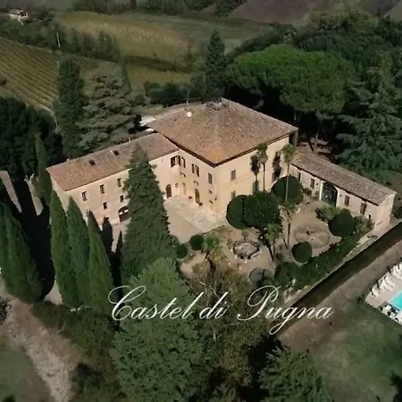 Літній будинок Castel Di Pugna Winery